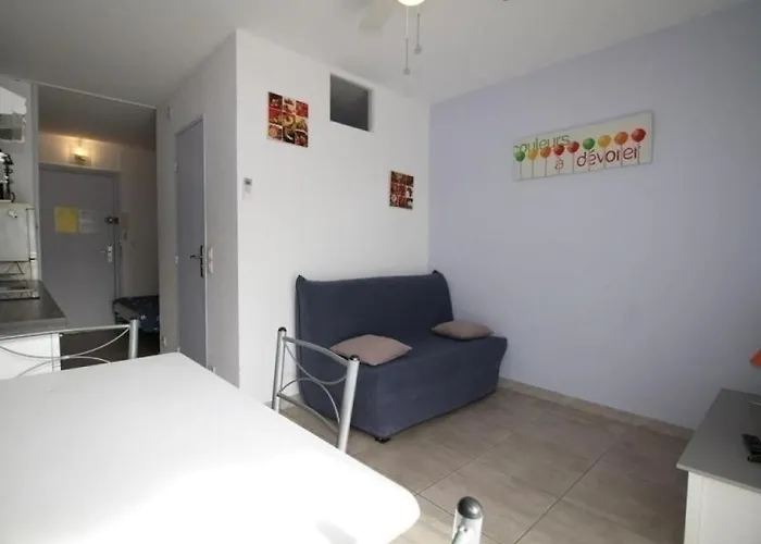 T1 Lumineux Avec Climatisation Et Terrasse - Fr-1-553-16